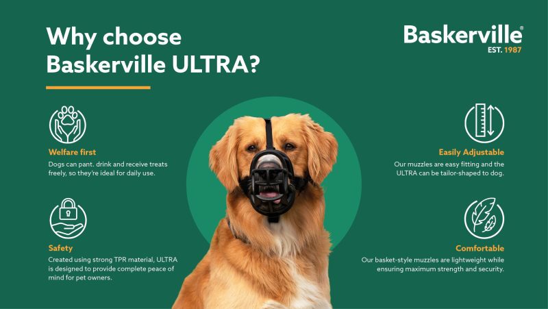 Baskerville Ultra Dog Muzzle - Image 3