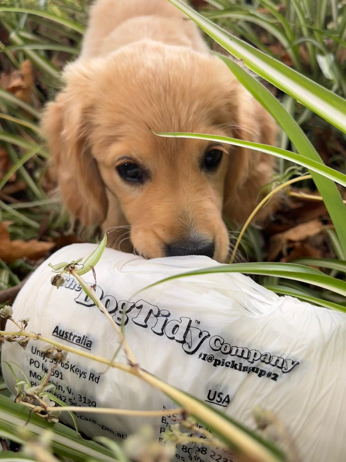 Compostable dog poop bags- DogTidy