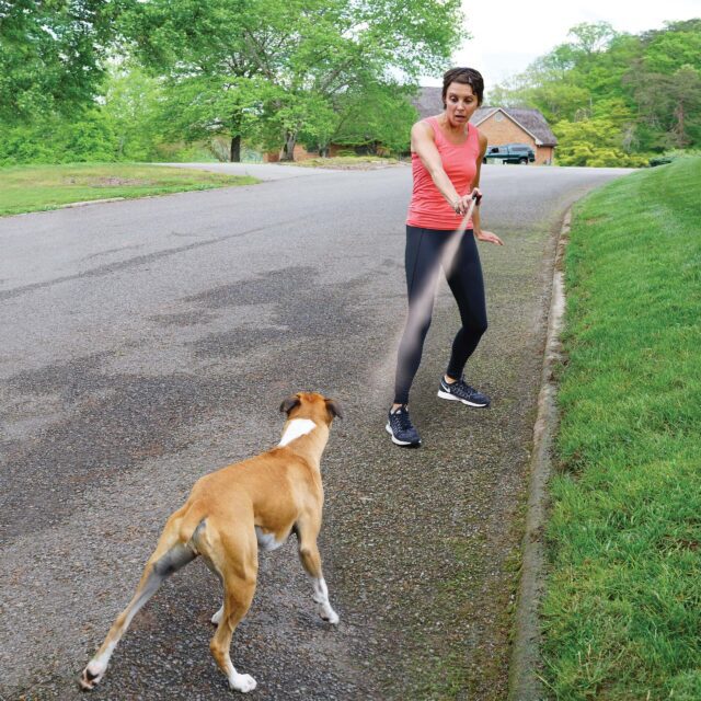 SprayShield® Animal Deterrent ACES AU