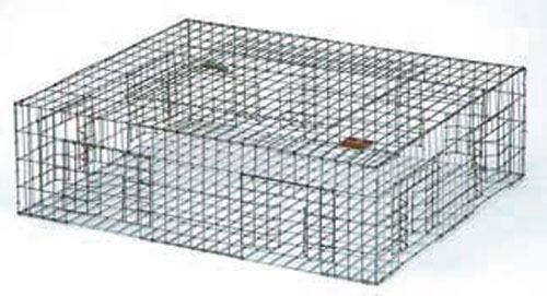 pigeon traps